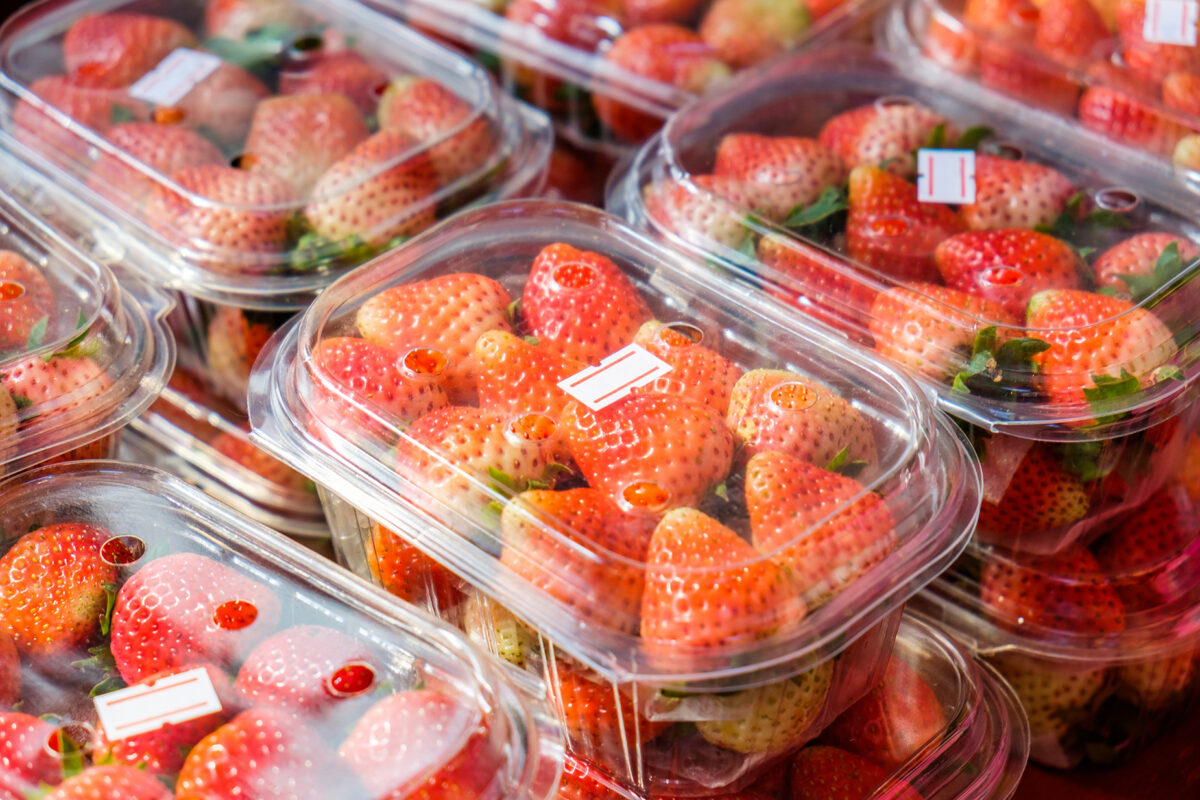 Strawberries in Plastic Packaging