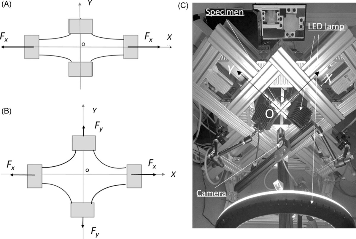 Nonequibiaxial (NEB) elongation test, displacements of actuators along Y are not equal to those along X. (A) constant width and (B) NEB and (C) the biaxial testing machine with equipment (heating system not installed)