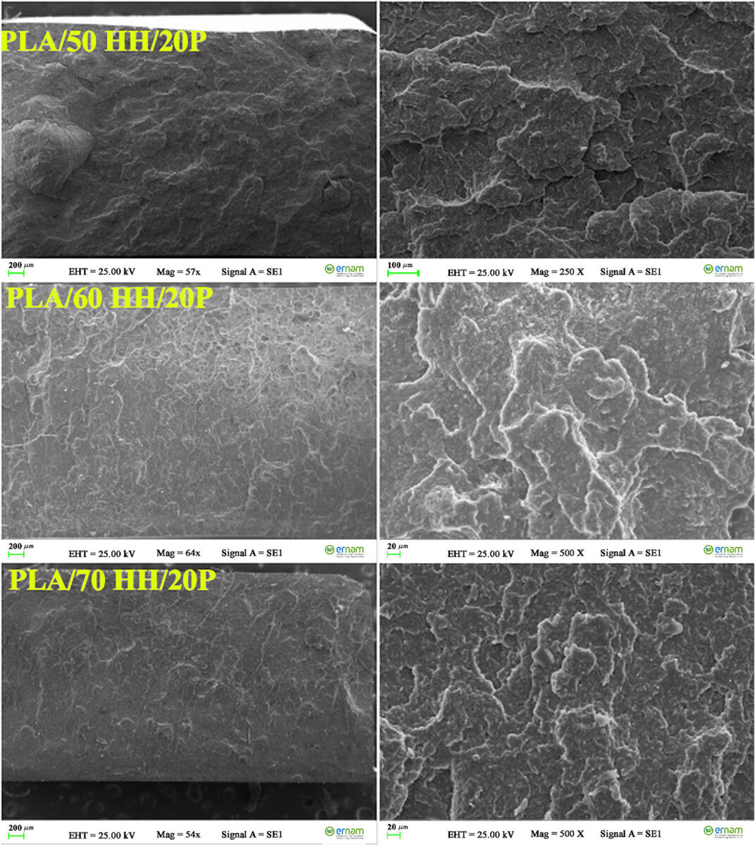 Impact fracture surfaces of the composites containing different amounts of HH under constant loading of plasticizer (20 wt%)