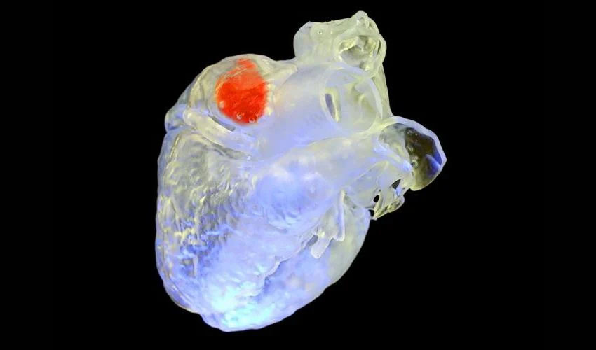 in-Body 3d Printing - Heart