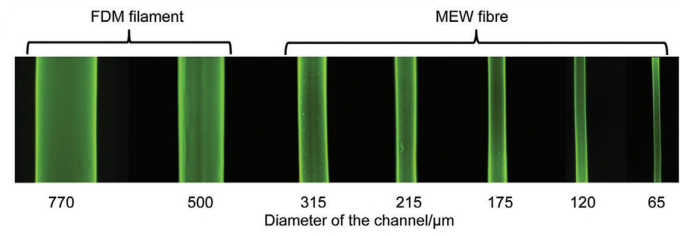 FEV Vs MEW. Courtesy of Polymers for Melt Electrowriting.