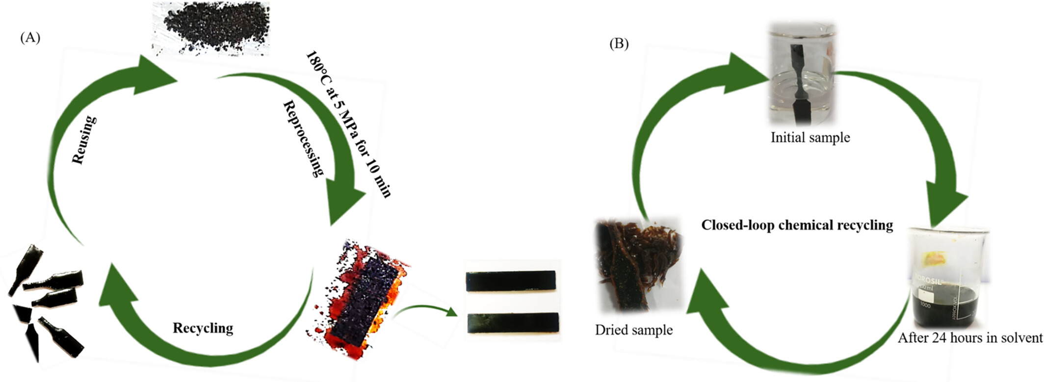 (A) A schematic illustration of the re-processability, recyclability, malleability and re-usability of SB samples; (B) a qualitative study demonstrating solubility of epoxy vitrimers at 120°C in NMP solution at different time intervals.