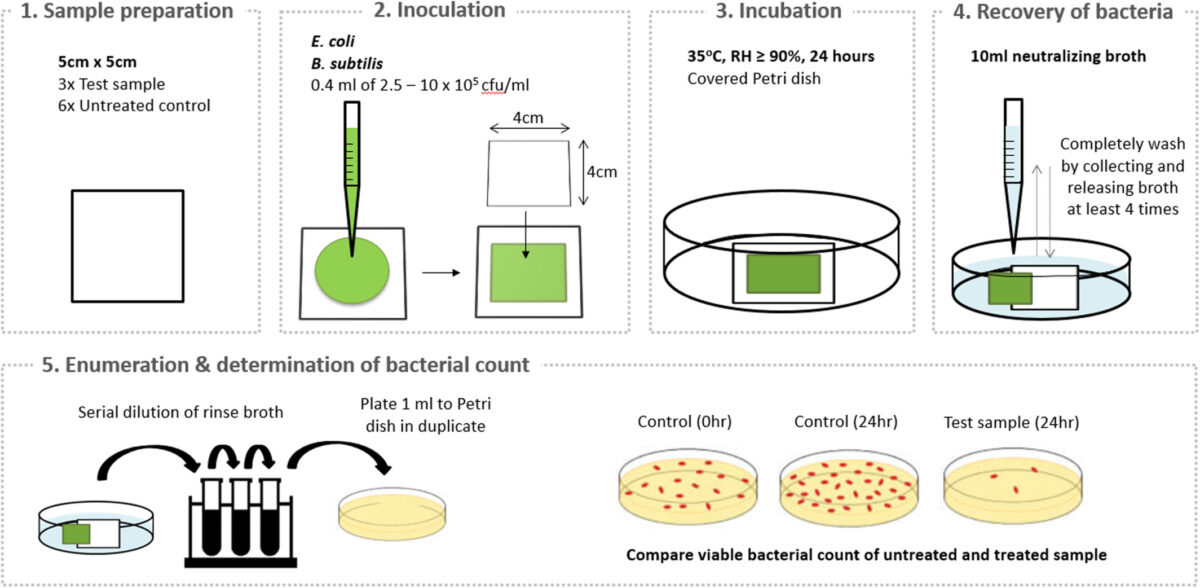 Schematic workflow of antibacterial activity assay for film specimens.