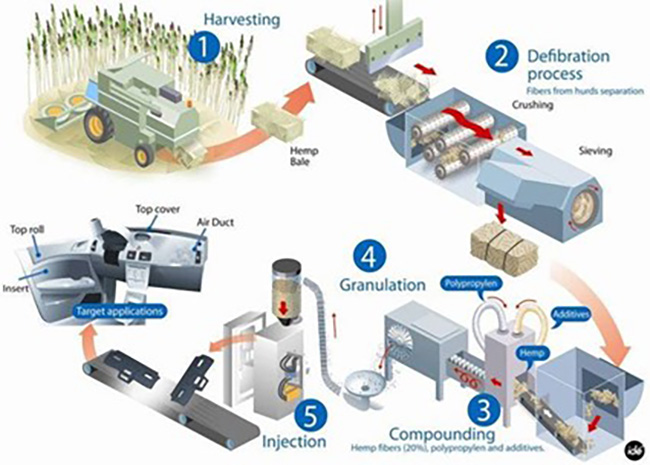 Hemp Production for the Automotive Industry. Courtesy of Automotive Performance Materials. 