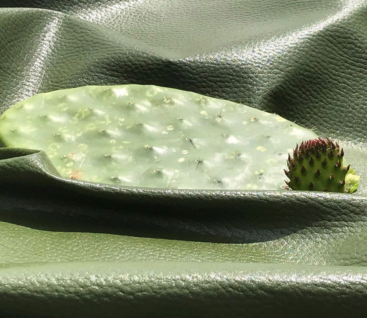 From The Desert to the Vehicle’s Interior.