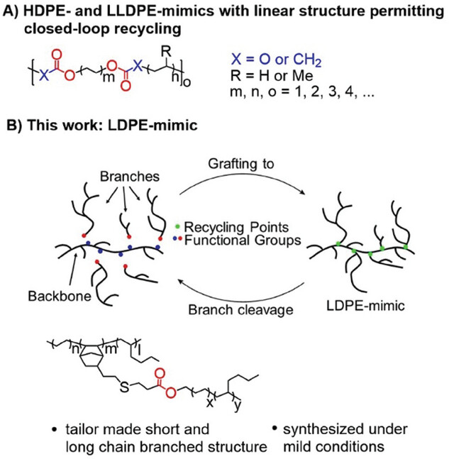 State-of-the-art regarding polyethylene mimics and the work presented here. A) High-density polyethylene (HDPE) mimic or linear low-density polyethylene (LLDPE) mimic based on bio-based, propylene- or (poly)ethylene-based feedstock. B) Structural and functional low-density polyethylene (LDPE) mimic with recycle points introduced here.