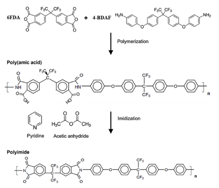 Schematic representation of PI synthesis. Courtesy of Toto et al.