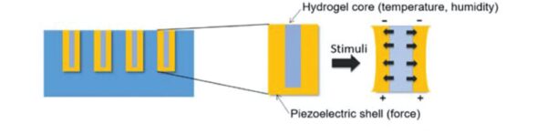 Cross-sectional view of the core-shell nanorod sensing concept. Courtesy of Abu Ali et al.