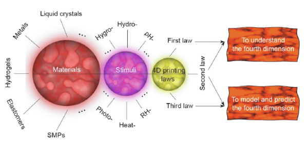 The laws of 4D printing delineate the relationship between structure and time, revolutionizing how we perceive and engineer dynamic systems.