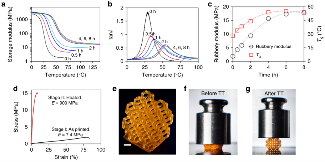 Demonstration of changes in stiffness of 3D printed thermosets caused by transesterification reactions leading to network structure rearrangement. Courtesy of Reprocessable thermosets for sustainable three-dimensional printing. Link for Reprocessable thermosets for sustainable three-dimensional printing : https://www.nature.com/articles/s41467-018-04292-8 