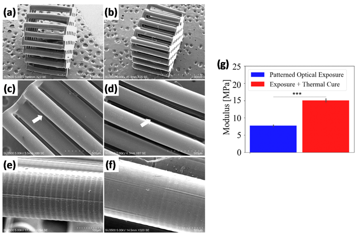 (a–f) SEM images for multilayer 3D printed parts fabricated via SL: (a,c,e) photo-cured structure compared to (b,d,f) thermally postcured multilayer samples; the arrows in (c,d) identify the pillar structure shown in (e,f). (g) Effect of thermal treatment on the mechanical properties of the multipillar structure. Courtesy of Understanding and Improving Mechanical Properties in 3D printed Parts Using a Dual-Cure Acrylate-Based Resin for Stereolithography. Link for Understanding and Improving Mechanical Properties in 3D printed Parts Using a Dual-Cure Acrylate-Based Resin for Stereolithography