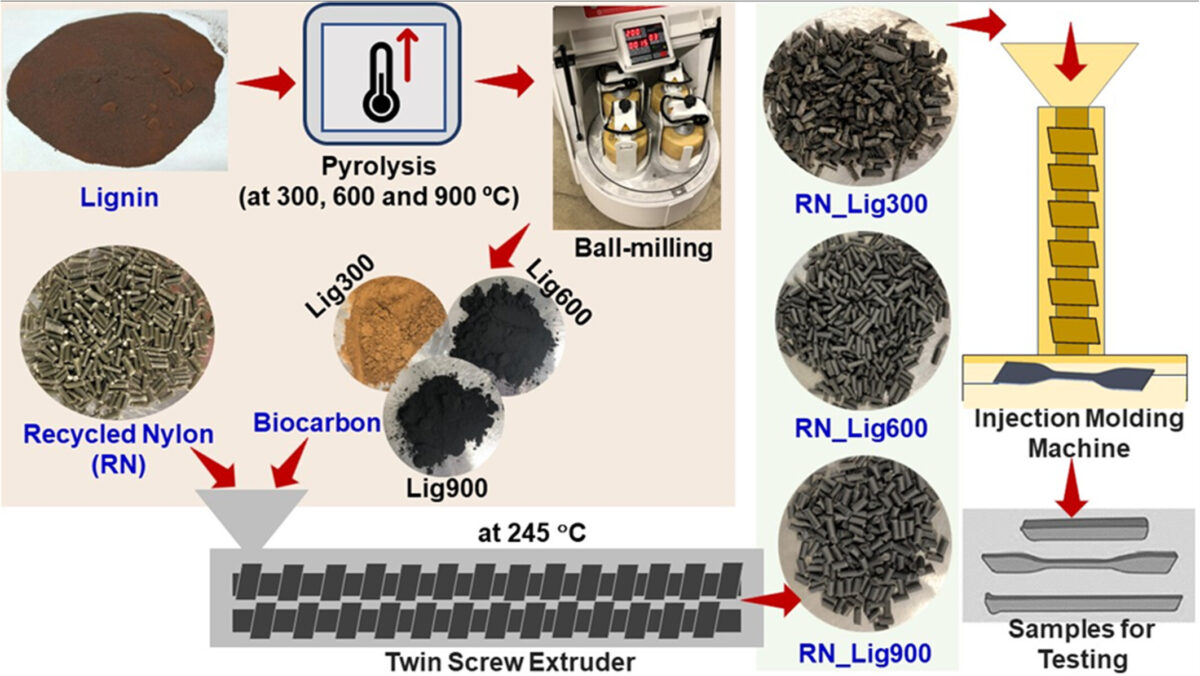 Schematic representation of the experimental procedures for the preparation of recycled nylon composites: biocarbon preparation, melt extrusion followed by injection molded samples.