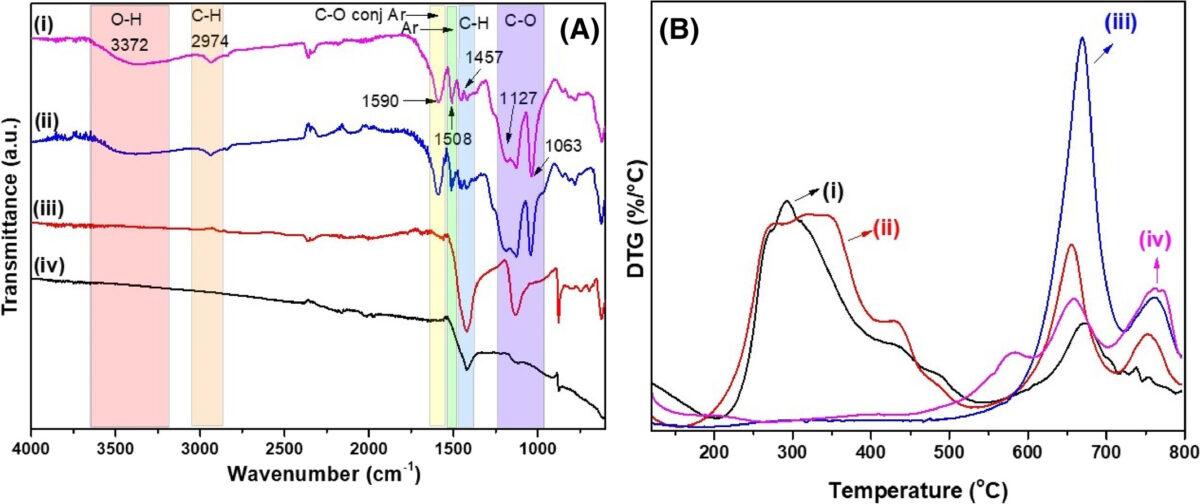 (A) FTIR spectra and (B) DTG curves of (i) Lignin biomass, (ii) Lig300, (iii) Lig600, (iv) Lig900.