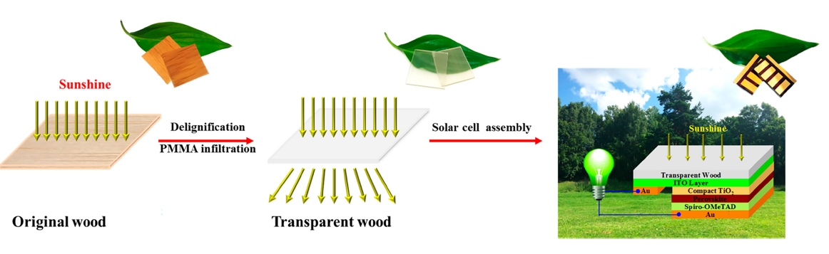 Harnessing Bio-based Materials in Solar Cells | Plastics Engineering