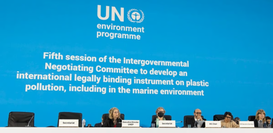 Fifth session of the Intergovernmental Negotiating Committee. Courtesy of UNEP.org