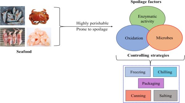 Seafood is highly prone to spoilage, but better packaging can lead to better controlling of spoilage factors. Courtesy of Revolutionizing Seafood Packaging: Advancements in Biopolymer Smart Nano-Packaging for Extended Shelf-Life and Quality Assurance.