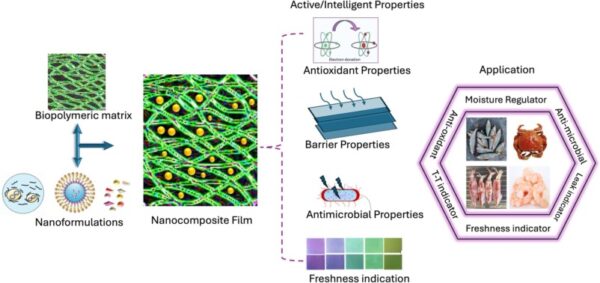 Smart packaging’s active and intelligent properties have a multitude of applications for the seafood industry. Courtesy of Revolutionizing Seafood Packaging: Advancements in Biopolymer Smart Nano-Packaging for Extended Shelf-Life and Quality Assurance.