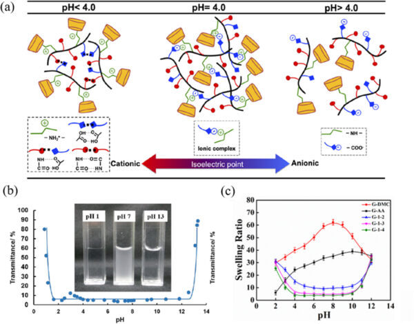 Fig. 1. (a) Schematic representation of the charge of zwitterionic polymers at different pH. Figure reproduced with permission from American Chemical Society [66]. (b) Relative transmittance of zwitterionic polymer solution at different pH. Figure reproduced with permission from American Chemical Society [69]. (c) pH-responsive swelling of zwitterionic polymer gels. Figure reproduced with permission from American Chemical Society. Courtesy of Structures, properties, and applications of zwitterionic polymers.