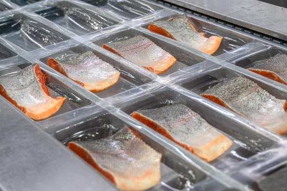 Annually, 8.3 million tons of mismanaged plastic waste enter oceans. Courtesy of Summit Packaging.