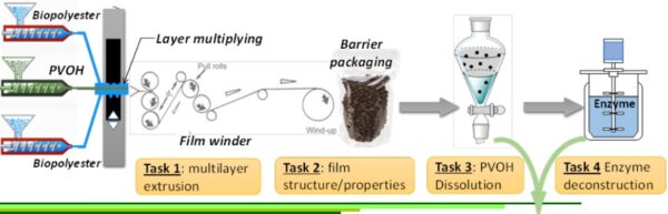 The film undergoes extrusion throughout its lifecycle, functions effectively as packaging, and gets dissolved and deconstructed. Courtesy of Separable Multilayer Biopolyester Films for Deconstructable Barrier Packaging, presented at SPE’s ANTEC® 2025.