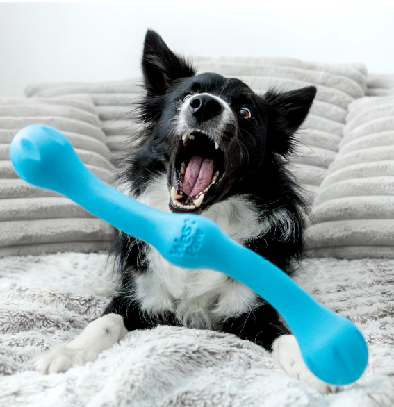 Recyclable plush toy for pets by West Paw. Courtesy of West Paw.