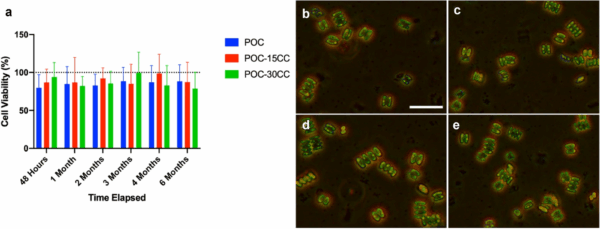 Biocompatibility of POC-CC supernatant with Scenedesmus. sp. algae with brightfield images of Scenedesmus. sp. (a) Treatment groups were standardized against a control group of media and simulated ocean water (dotted line). No significance was detected across any groups, n = 5. (b, c) Images of Scenedesmus. sp. algae in media only after 48 h. (d, e) Images of Scenedesmus. sp. algae in 90% media and 10% 6-month POC-15CC supernatant mixture after 48 h. Scale bar = 10 μm. Courtesy of Calcium carbonate-based biodegradable composites as an alternative material to industrial plastics.
