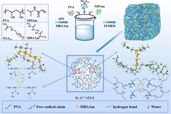 Synthesis roadmap of PPNS hydrogels. Courtesy of A stimuli-responsive hydrogel for reversible information storage, encryption and decryption.