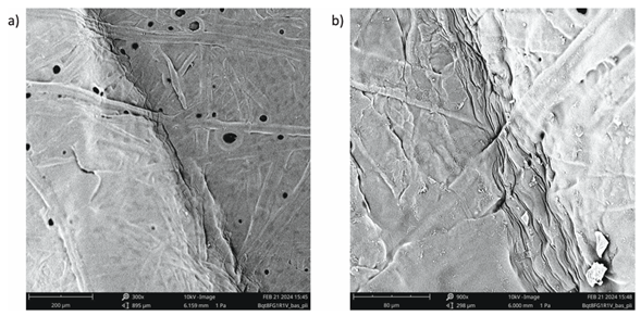 SEM observations on the folded inner part of the PVOH coated tray material a) x 300 and b) x 900. Courtesy of Polymer-coated cardboards as strawberry packaging alternatives: The importance of considering close-to-real testing conditions in a food requirement-driven approach.