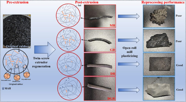 Modification mechanism of different processing methods. DGR, devulcanization-grafting modified waste rubber; DR, devulcanization modified waste rubber; GR, graft modified waste rubber; MAH, maleic anhydride; MR, machine modified waste rubber. Courtesy of Large-scale recycling of waste cross-linked ethylene propylene diene monomer enabled by devulcanization-grafting strategy.