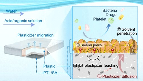 The PTL/SA coating inhibited plasticizer leaching and showed good biocompatibility, suggesting a potential replacement for conventional medical coatings. Courtesy of Amyloid-Like Protein Coating as a Barrier Against Plasticizer Leaching.