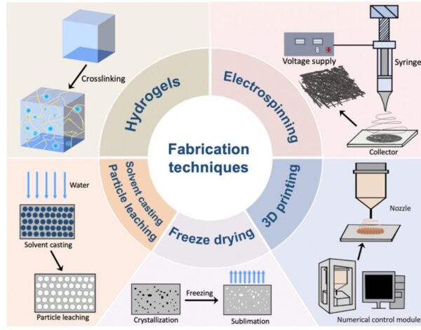 Fabrication Techniques for Skin Scaffolds.Courtesy of Recent Advances in Biodegradable and Biocompatible Synthetic Polymers Used in Skin Wound Healing.