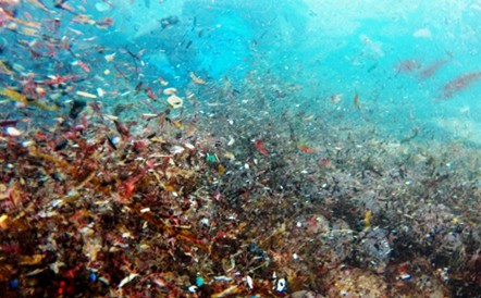 PET is frequently detected in aquatic envieronments.Courtesy of Sol Organics.