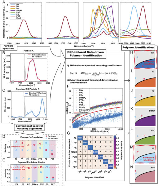 SRS-Tailored Data-driven Polymer Identification. Courtesy of Rapid single-particle chemical imaging of nanoplastics by SRS microscopy.