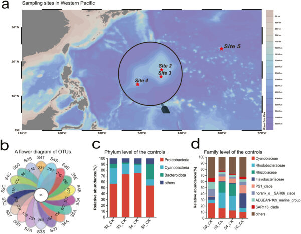 Researchers deployed enrichment bottles at four sites and cataloged the phylum and families of bacteria found at each site. Courtesy of Discovery of potentially degrading microflora of different types of plastics based on long-term in-situ incubation in the deep sea.