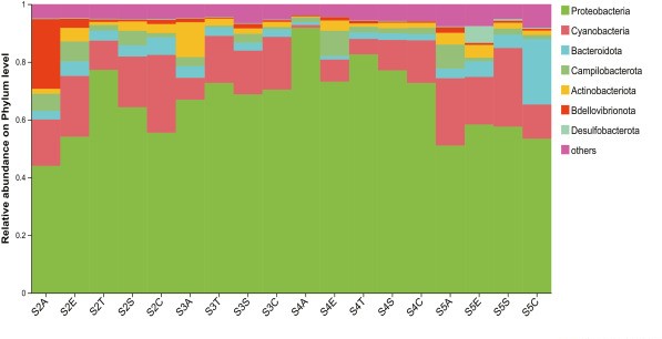 Proteobacteria and Cyanobacteria showed the highest levels of abundance at the phylum level. Courtesy of Discovery of potentially degrading microflora of different types of plastics based on long-term in-situ incubation in the deep sea.