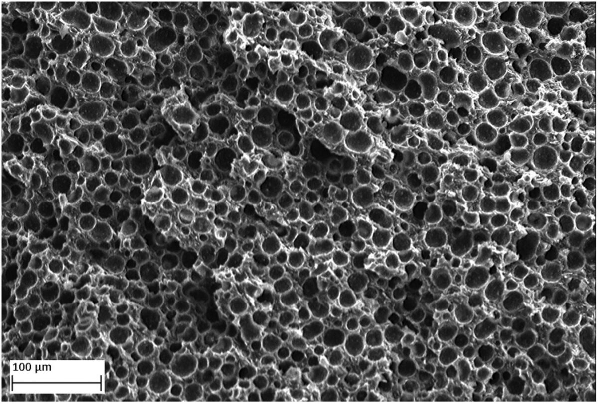SEM Micrograph Illustrating Cell Morphology in MuCell® Injection Molding. Courtesy of Advances in microcellular injection moulding.