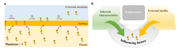 Plasticizer migration and controlling factors. (a) Diffusion from the bulk to the surface, followed by interfacial transport into the external medium (① surface exchange, ② interfacial transport, ③ convective removal). (b) Primary drivers: inherent material characteristics, external media, and temperature. Courtesy of Surface modification strategies for inhibiting the migration of plasticizers from plastics.