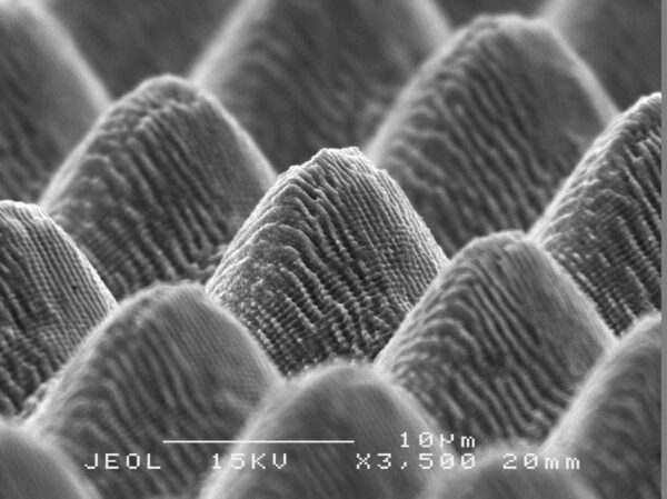 SEM image of stainless steel mold surface showing micro-pillars with superimposed LIPSS nano-ripples. The multi-scale asperities disrupt contact with polymers, diminish adhesion, and reduce ejection forces during molding. Courtesy of LightMotif.