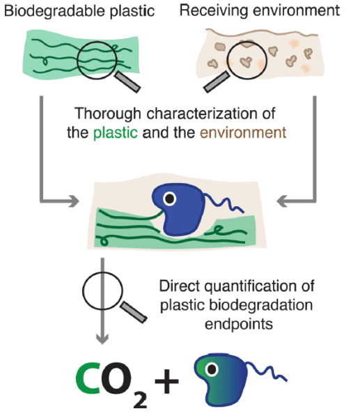 Assessing Plastic Biodegradation Demands aThorough Characterization of Both the Material Properties of the Plastic and the Characteristics of the Receiving Environment, Given That Both Strongly Affect Plastic Biodegradation. Courtesy of Dos and Do Nots When Assessing the Biodegradation of Plastics.