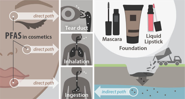 Cosmetics industry-associated groups usually assess the potential hazards of new and emerging ingredients in North American cosmetics. Ingredient names are defined and disclosed per the guidelines given in the International Cosmetic Ingredient Dictionary and Handbook. Courtesy of Fluorinated Compounds in North American Cosmetics.