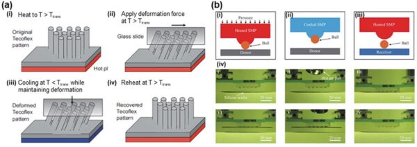 Controlled by changes in temperature, the hemispherical-shaped SMPs (b) allow for enhanced adhesion switchability on smooth surfaces. Courtesy of Advancing smart dry adhesives with shape memory polymers.