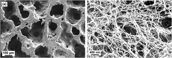 SEM images of a cellulose-derived polymer aerogel showing (a) macroporous network and (b) nanofibrillar scaffold. This hierarchical porosity reduces density while limiting solid-phase and gas-phase heat conduction. Courtesy of Influence of hierarchical porous structures on the mechanical properties of cellulose aerogels.