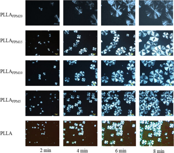 POM diagram of PLLAFPM copolymers and PLLA at 120°C (200× magnification). Courtesy of Ultra-Tough PLLA Copolymers Synthesized by a Highly Flexible Polyester Macroinitiator Strategy.