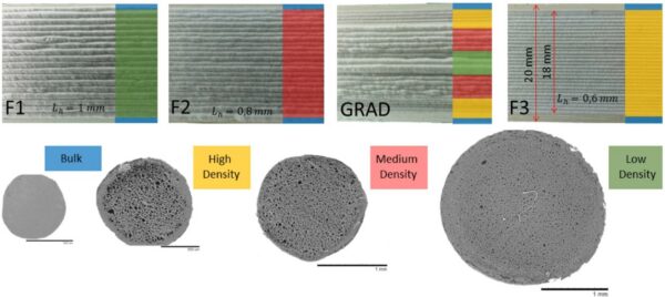 Bulk PLA acts as the outer skin of each specimen, as shown in blue. Figure courtesy of Mono-material sandwich structures design produced by Foam Additive Manufacturing: study of performances under dynamic conditions.