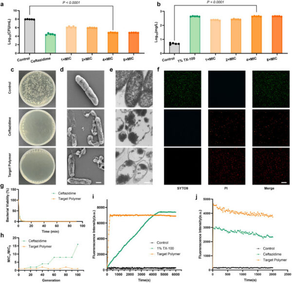Researchers characterized the antimicrobial properties of the polymers in-vitro. Figure courtesy of AI-guided precise design of antimicrobial polymers through high-throughput screening technology on an automated platform.