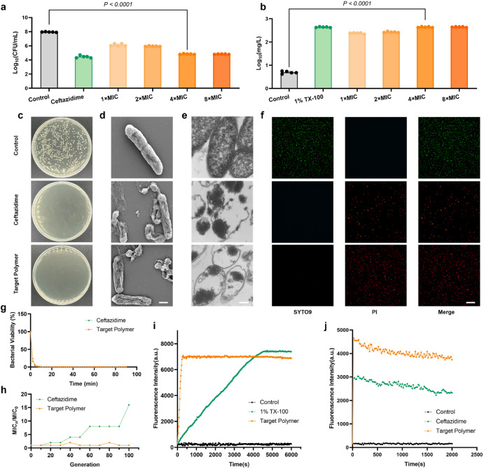 Active Learning Speeds Discovery of Antimicrobial Polymers | Plastics ...