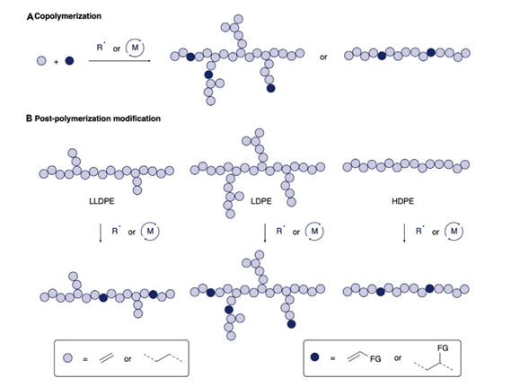Comparison of copolymerization and post-polymerization routes for introducing functional groups into polyolefins with different architectures. Courtesy of Selective, Catalytic Oxidations of C–H Bonds in Polyethylenes Produce Functional Materials with Enhanced Adhesion.