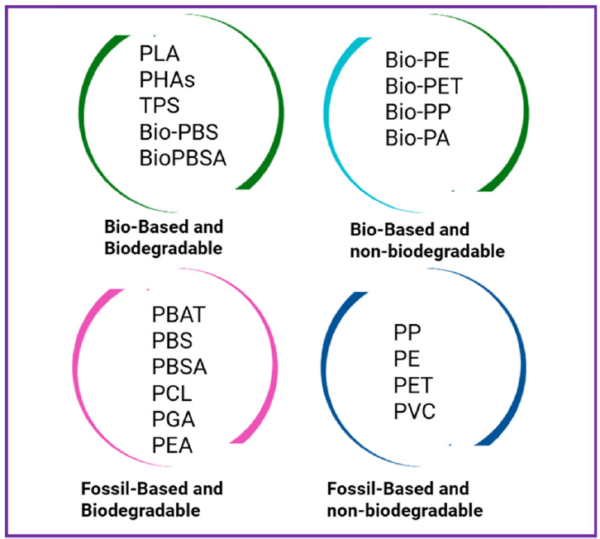 Classification of polymers based on origin and biodegradability. (Green Chem., 2025, 27,11656) 