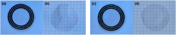 Digital images of a 4L MXene tag (without PVA coating) (a) before and (b) after 5 min of caustic washing and a 4L MXene tag (with PVA coating) (c) before and (d) after 5 min of caustic washing. Courtesy of Printing 2D MXene-Based Chipless Radio Frequency Identification Tags to Enable Plastic Waste Sorting for Recycling.