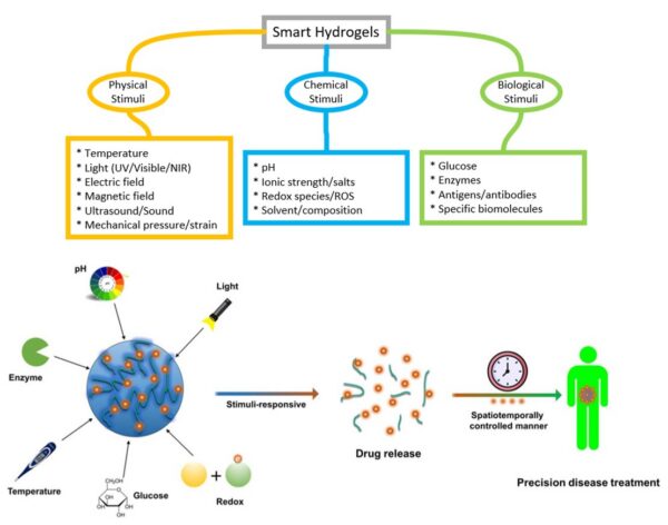 Scientists can design smart hydrogels to respond to one or multiple external stimuli. Nevertheless, increasing the number of design variables often compromises structural stability, complicates synthesis, and challenges safety and biocompatibility. Courtesy of Current Advances in Stimuli-Responsive Hydrogels as Smart Drug Delivery Carriers. 